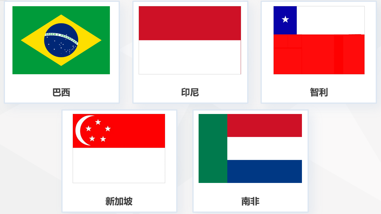 巴西、印尼、智利、新加坡、南非